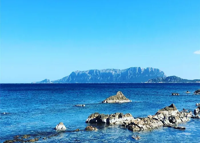 House Ilaria- Smeraldo *