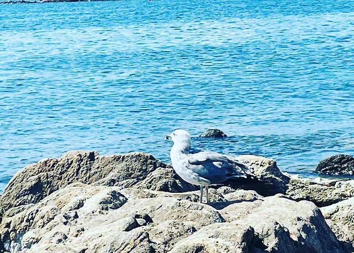 House Ilaria- Smeraldo Lägenhet *