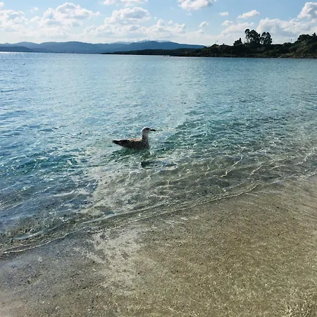 House Ilaria- Smeraldo Appartement