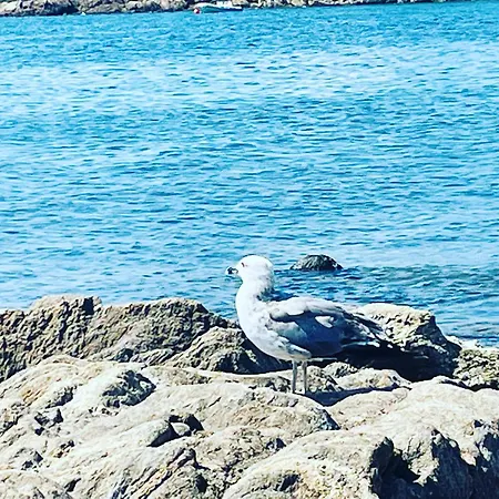 House Ilaria- Smeraldo Appartement *