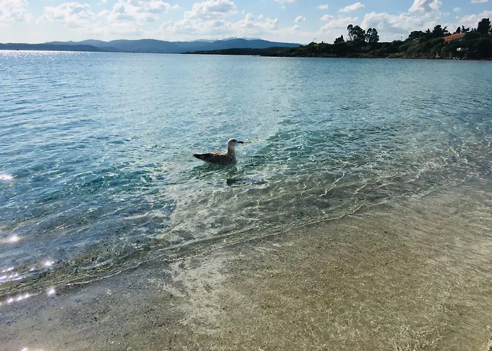 House Ilaria- Smeraldo Appartement